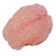 Illustration for article titled 3D-Printed Gel Folds Almost Exactly Like a Real Baby Human Brain